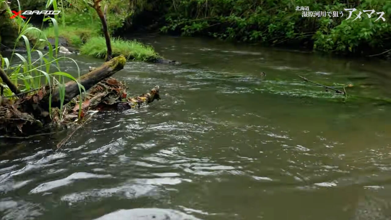 ｜「PEライン×ベイトリール」システムの最新系！ネイティブトラウト相手で成立させるためのセッティングとは…？