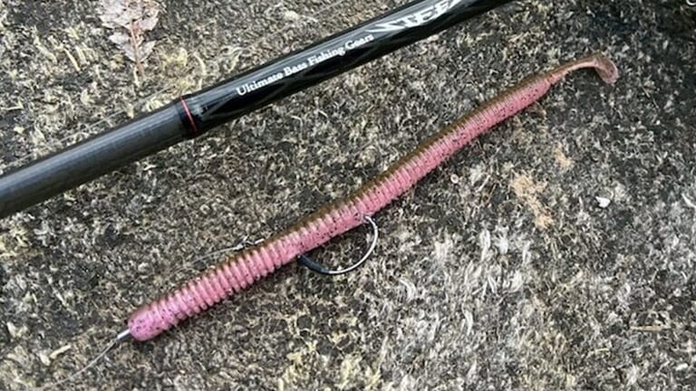 春爛漫、バスはとてもナイーブな状態。この時期に抑えておきたいストレートワームはコレ！【鈴木翔のIT’S SHO TIME !!!】