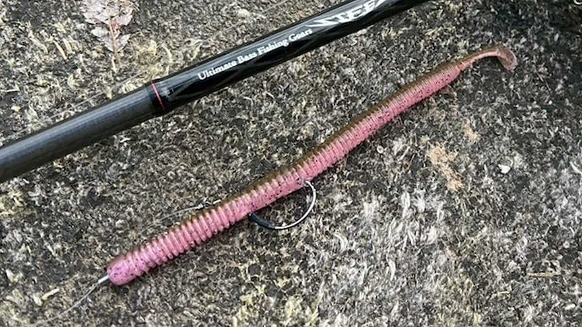 ｜春爛漫、バスはとてもナイーブな状態。この時期に抑えておきたいストレートワームはコレ！【鈴木翔のIT’S SHO TIME !!!】