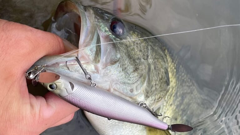 「このバイト、病みつきになる…」春おすすめの浅場攻略パターン。ガストネード110Sをただ巻くだけの簡単釣法！