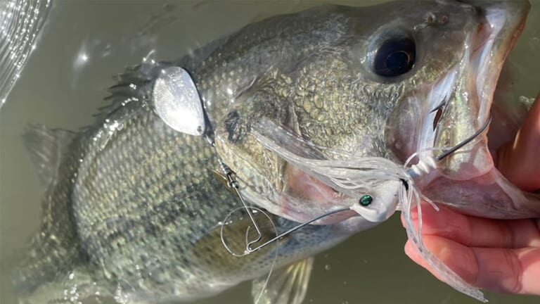 ダブルインディアナ、みんな使ってる？「マニアックだけどハマればすごい」雨で濁ったらこれで決まりっしょ！