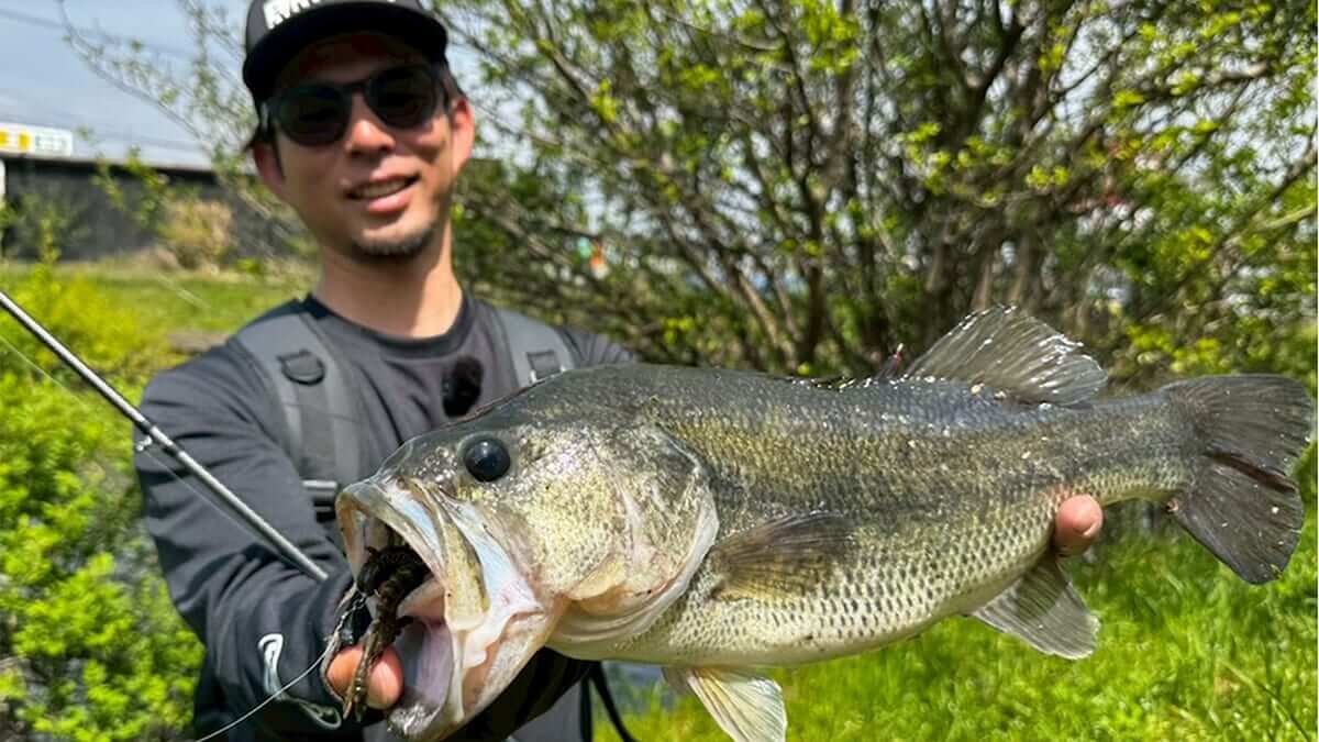 ｜ゾワゾワするくらい釣れる…。ハイプレッシャーリバーでもデカバス乱舞！「フォールだけでバイト連発です」【芝田昂平】