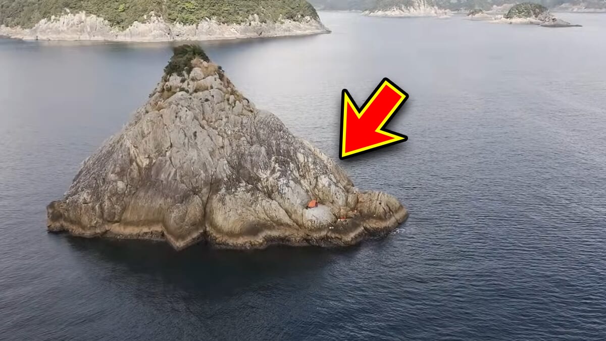 ｜「コレ、デカいぞ…」港近くの『無人島』に泊まり込んで“モンスター”を狙った結果。贅沢過ぎる状況に視聴者も驚愕。
