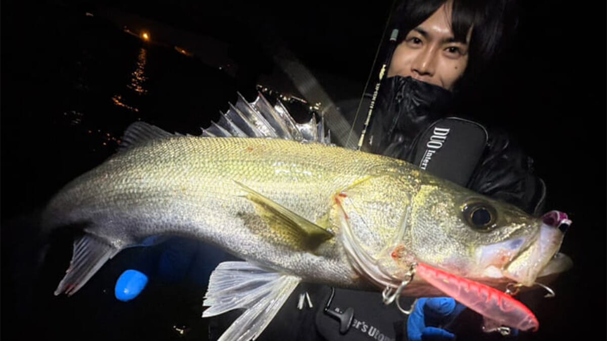 ｜【ハクパターン】難攻不落っていうけど大げさすぎるんじゃない？まだ苦手意識持ってる人いるならシンプルに考えてみよう