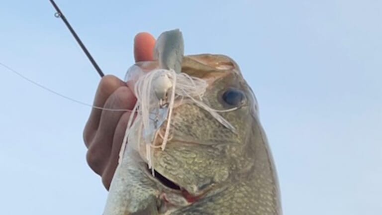 「水がクリアで魚を騙しにくい」そんな時の対処法は？まずは天候変化を見逃さないこと。曇り、風、雨を味方につけましょう！