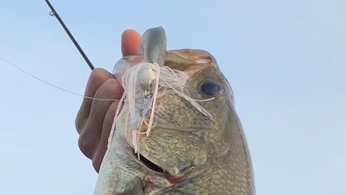 |「水がクリアで魚を騙しにくい」そんな時の対処法は?まずは天候変化を見逃さないこと。曇り、風、雨を味方につけましょう!