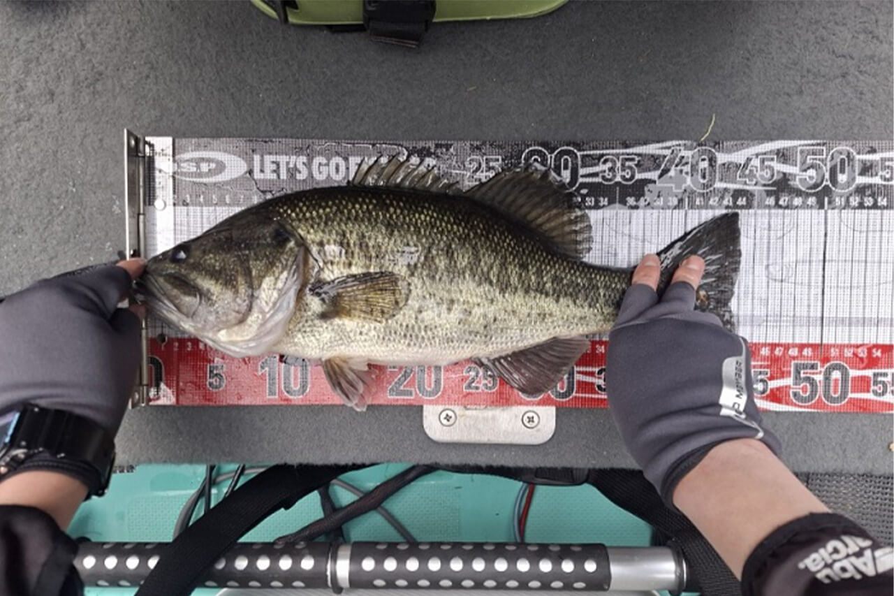 ｜「ハードルアーでいい釣りできますよ」春の温かい雨、バスを釣るには大チャンス到来中！【オリキンもばいる】