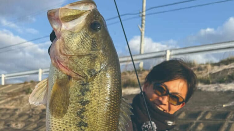 【今年のテーマはピン⁉】バスの状況や天気の考え方は？春の関西オカッパリ攻略Q&A！おススメルアー3選も！