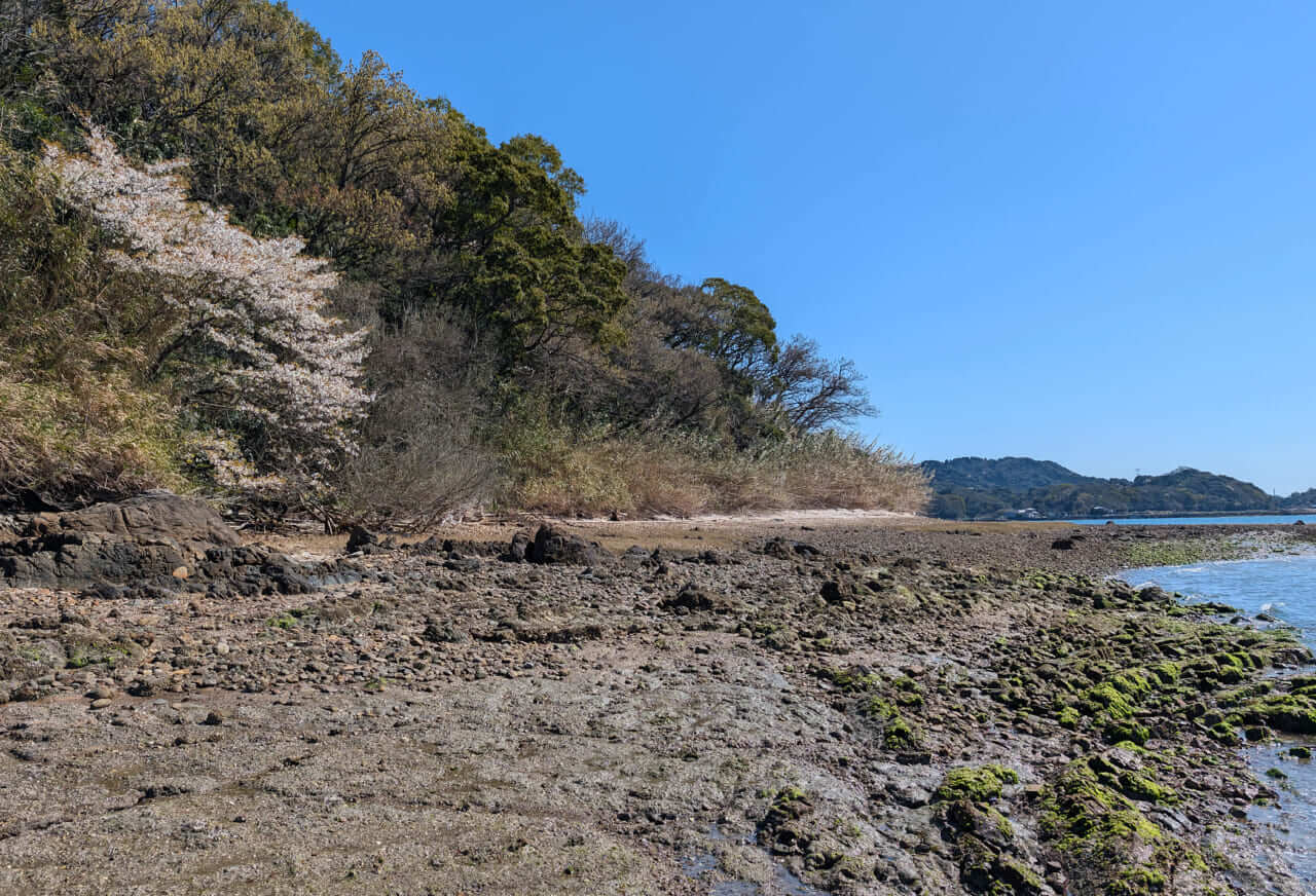 ｜無人島から南国リーフまで、拡張する“もりぞー”チニングワールド。日々の釣りで感じる「もう少し○○だったら」を解消するDAIWAの高い技術力