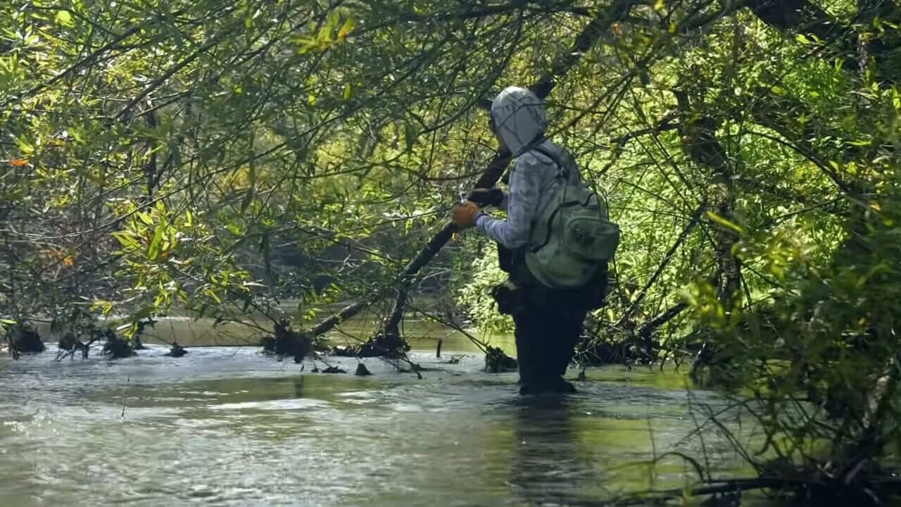 ｜「PEライン×ベイトリール」システムの最新系！ネイティブトラウト相手で成立させるためのセッティングとは…？