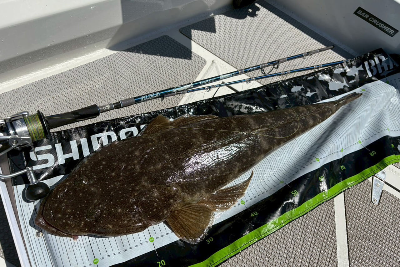 ｜オーストラリアは魚も規格外!? 日本では考えられない“1メーター超えマゴチ”を狙ってみた結果。