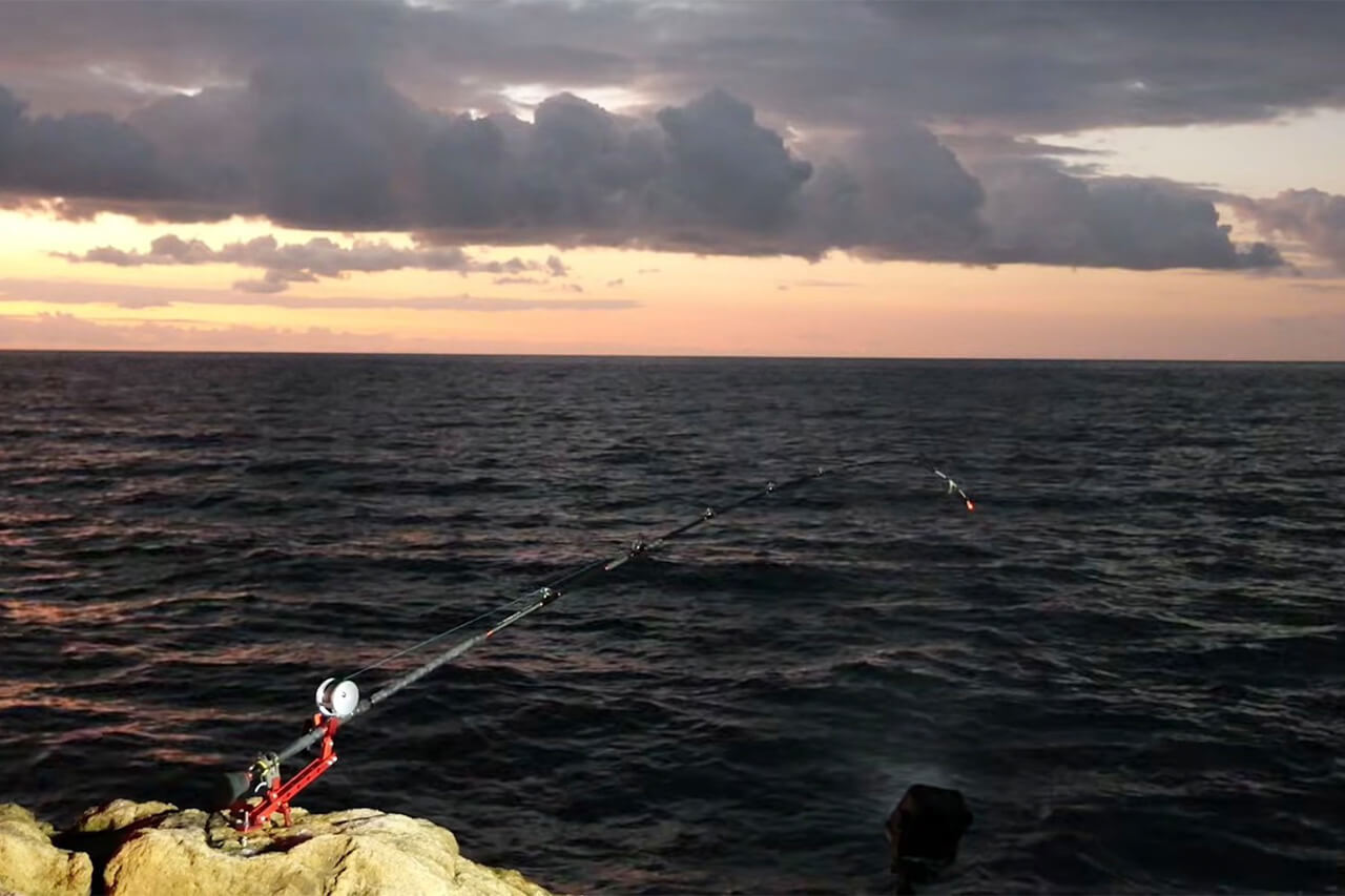 ｜「コレ、デカいぞ…」港近くの『無人島』に泊まり込んで“モンスター”を狙った結果。贅沢過ぎる状況に視聴者も驚愕。