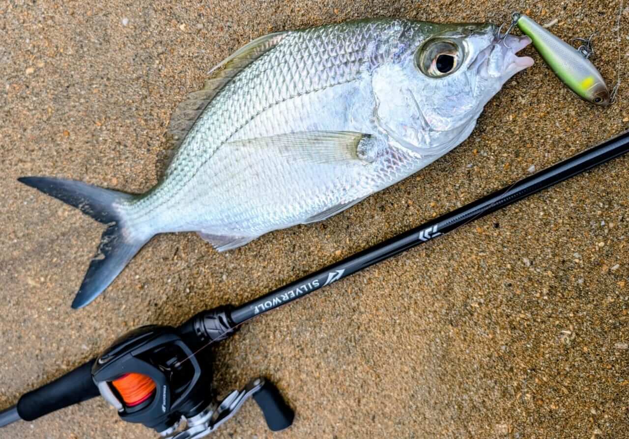 ｜無人島から南国リーフまで、拡張する“もりぞー”チニングワールド。日々の釣りで感じる「もう少し○○だったら」を解消するDAIWAの高い技術力