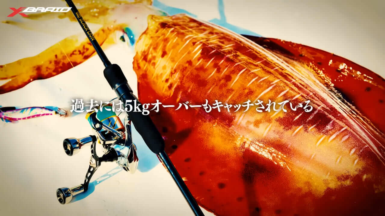 ｜エギングファンの憧れ「レッドモンスター」に挑め！ロマンを追った動画に注目!!