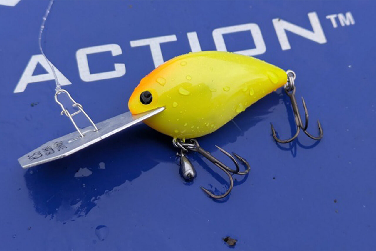 ｜キングオブキングスをプラクティスから振りかえる。気になる状況と結果は？【大津清彰のバス釣り真相解明】