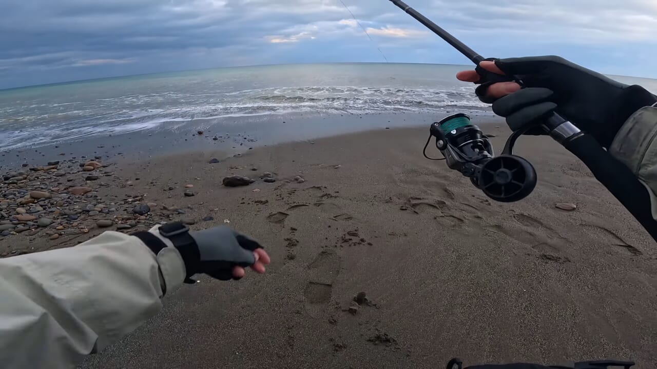 ｜「え、何コレ…」「すごい、デカい」砂浜から釣り上げられた魚の正体。まさかの日本記録級に驚愕。