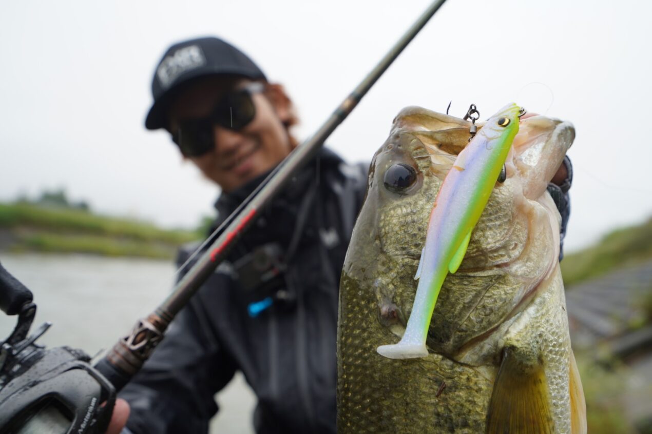 ｜日本生まれでアメリカでも大活躍中！話題のスイムベイトの使い方を若手岸釣りアングラーが解説！