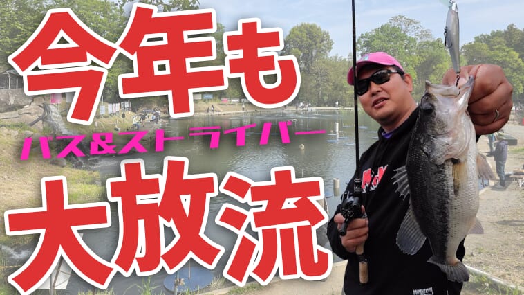 フロリダバスのハイブリットも放流⁉釣り人歓喜の大放流で今年も大人気管理釣り場がバスシーズンスタート!