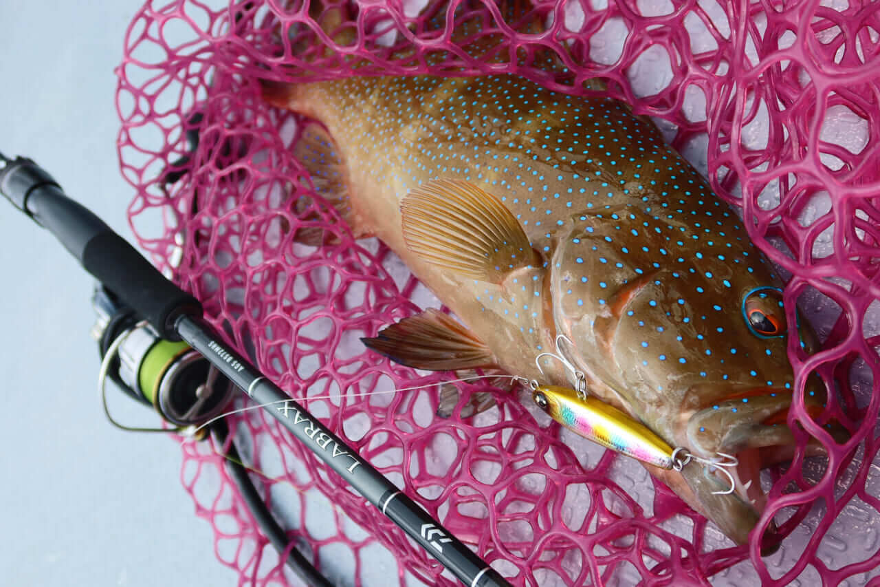 ｜無人島から南国リーフまで、拡張する“もりぞー”チニングワールド。日々の釣りで感じる「もう少し○○だったら」を解消するDAIWAの高い技術力