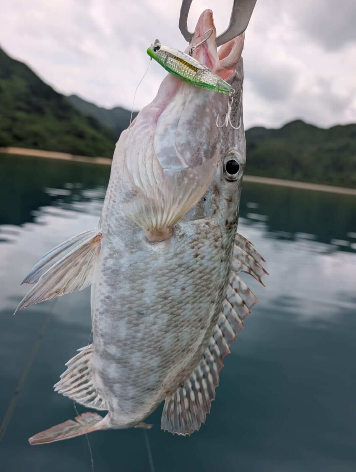 ｜無人島から南国リーフまで、拡張する“もりぞー”チニングワールド。日々の釣りで感じる「もう少し○○だったら」を解消するDAIWAの高い技術力