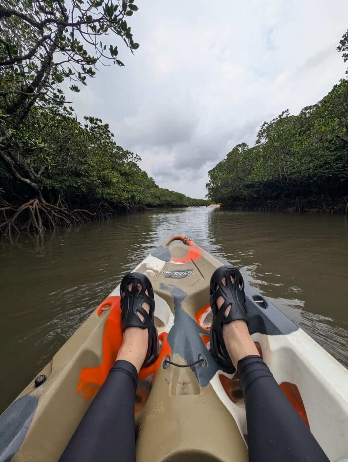 ｜無人島から南国リーフまで、拡張する“もりぞー”チニングワールド。日々の釣りで感じる「もう少し○○だったら」を解消するDAIWAの高い技術力