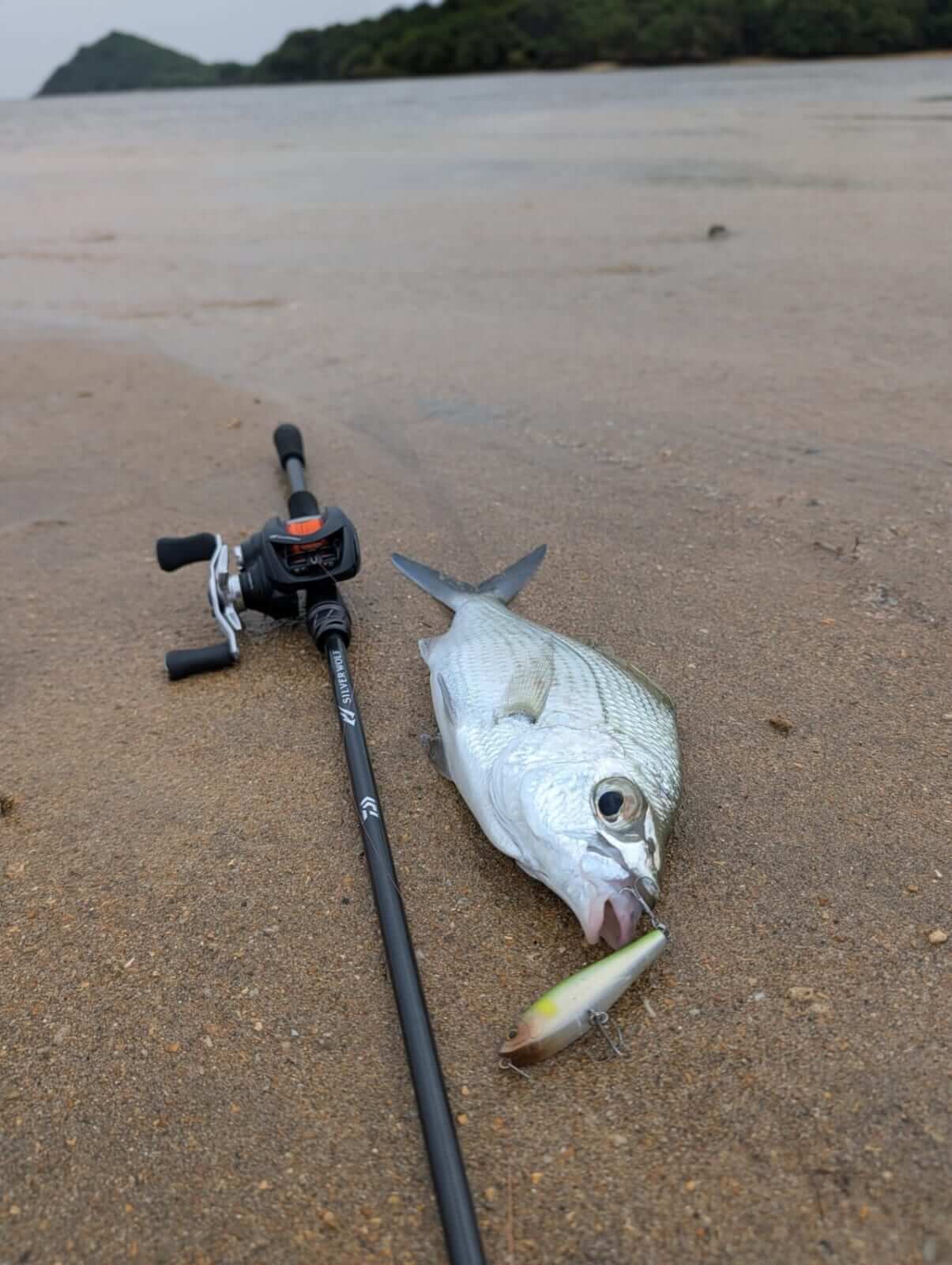 ｜無人島から南国リーフまで、拡張する“もりぞー”チニングワールド。日々の釣りで感じる「もう少し○○だったら」を解消するDAIWAの高い技術力