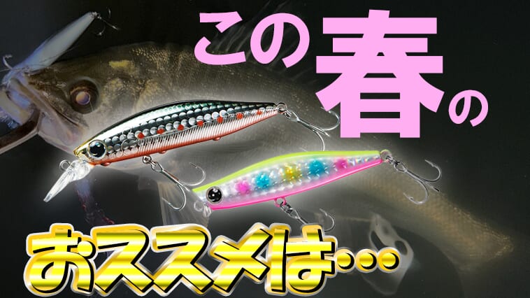 【ベイトの追い方/探し方】季節の変わり目の今、シーバスにたどり着くまでのプロセスとは？【デイゲームに行く意味？】