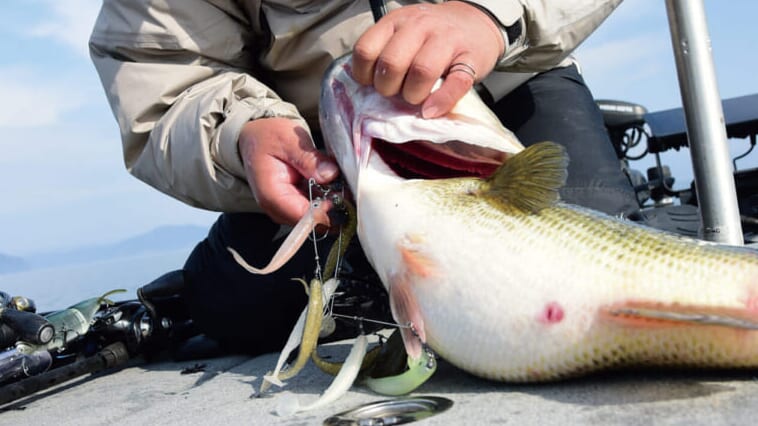 デカいバスにはデカいルアー。山田祐五が貫く「不滅の法則」と、凍てつく湖上のリアル