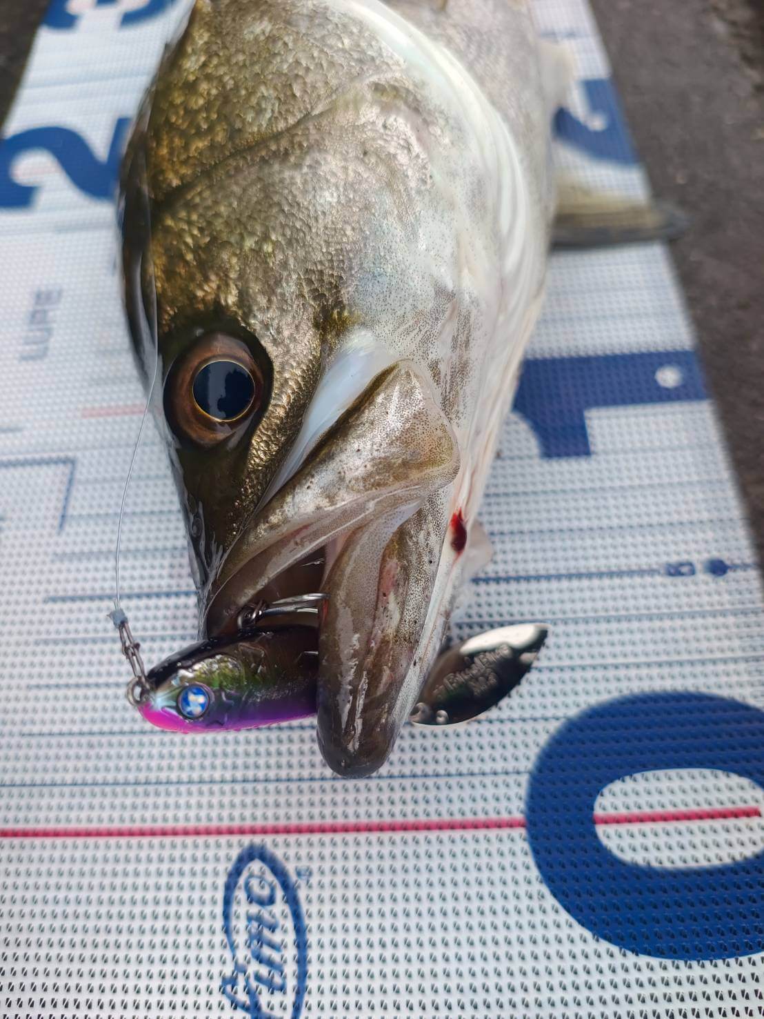 ｜刺さりの良さに驚いた！トップウォーターに最適なフックが『コレ』。