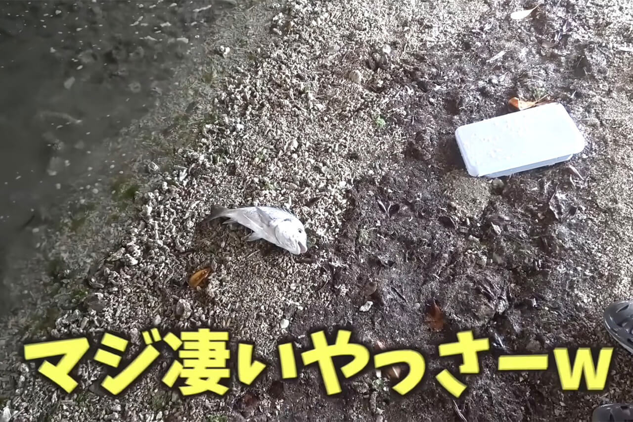 ｜【驚愕】「この発想はスゴすぎ」ラジコンボートが“大転覆”。人が入れない「禁断の場所」でまさかの大物フィッシング