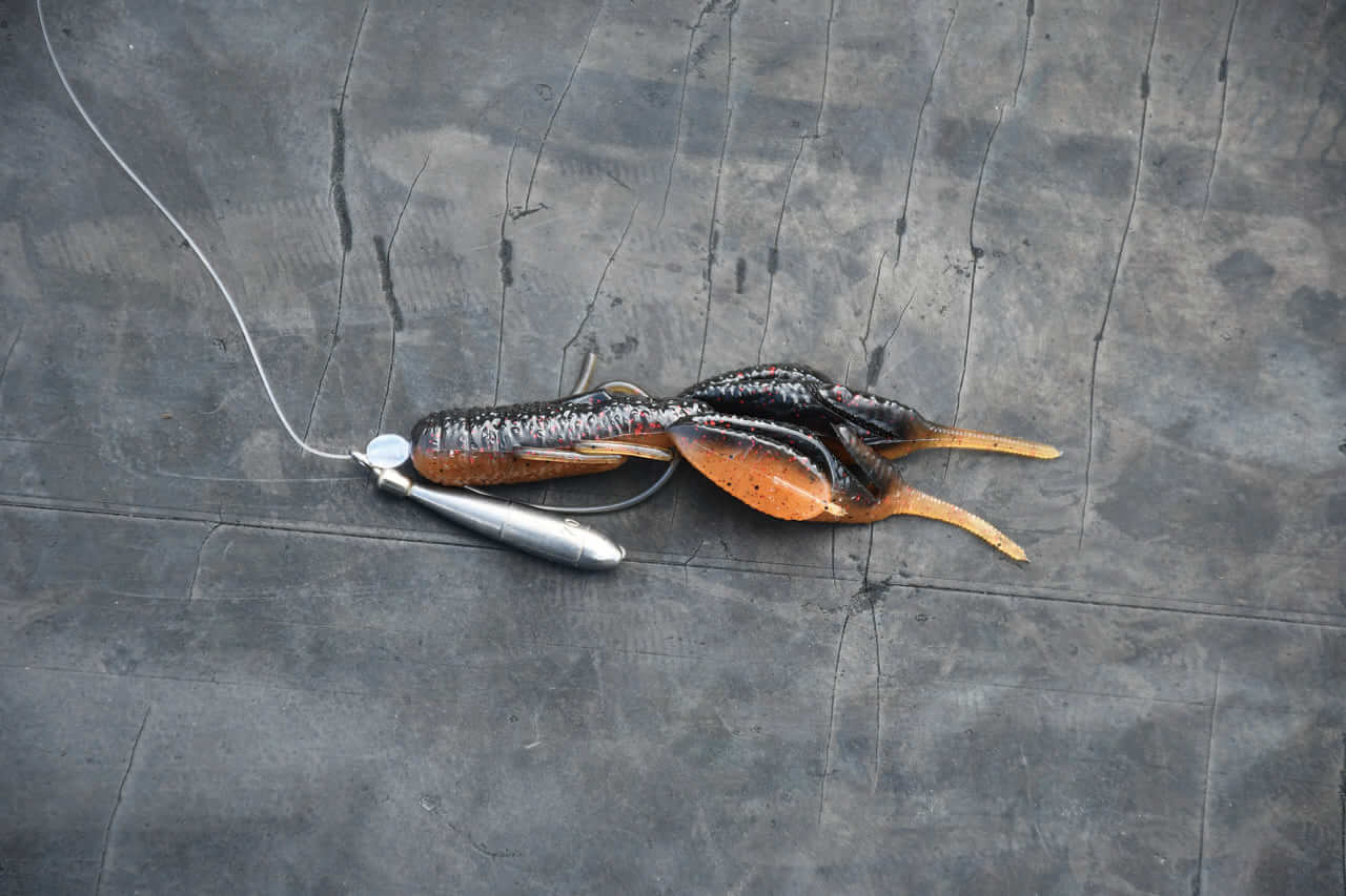 ｜房総デカバスハンターが「見えるライン」しか使わない理由