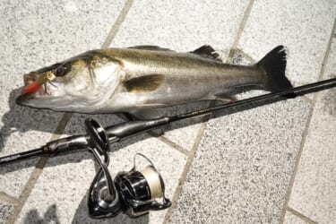 通常とは違うスタイルの釣りと港湾バチ抜けシーバス（大野ゆうき）