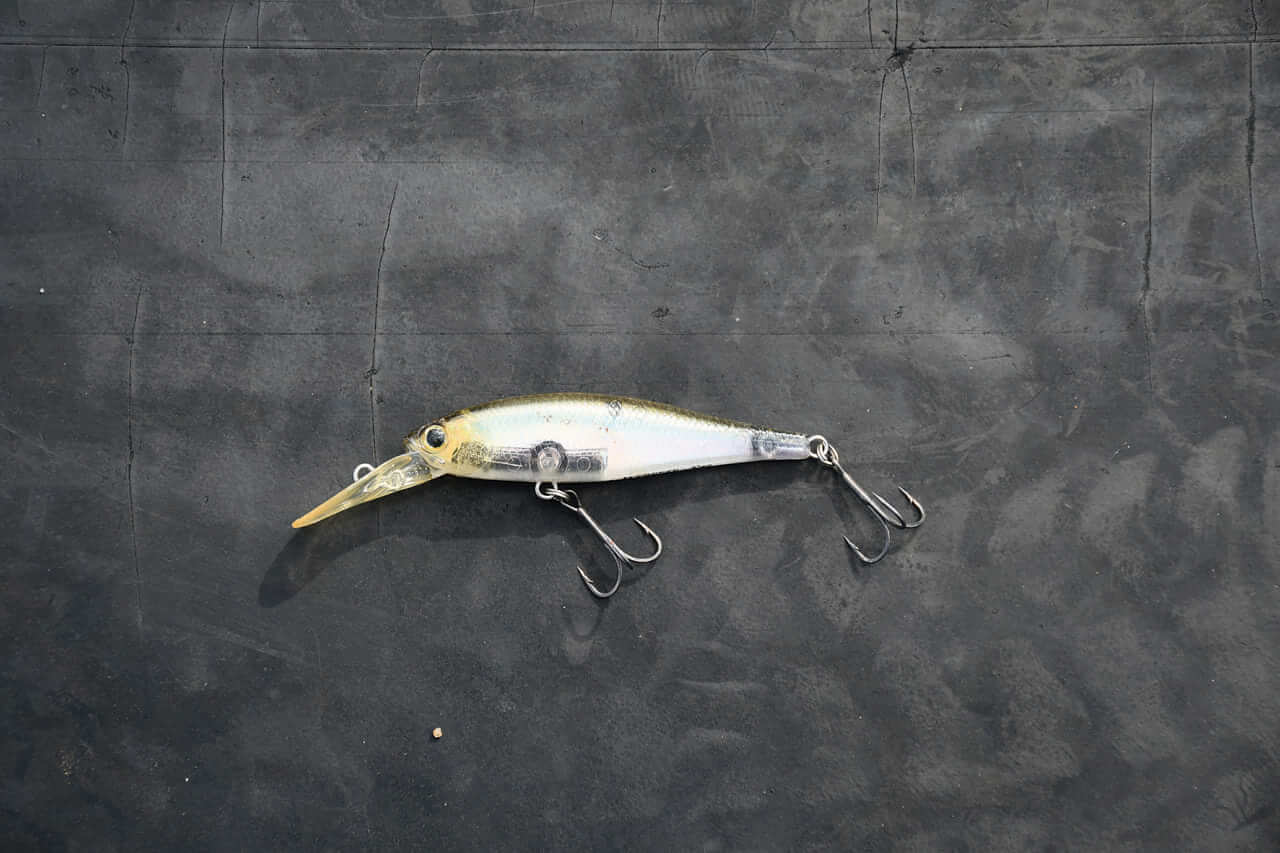 ｜房総デカバスハンターが「見えるライン」しか使わない理由