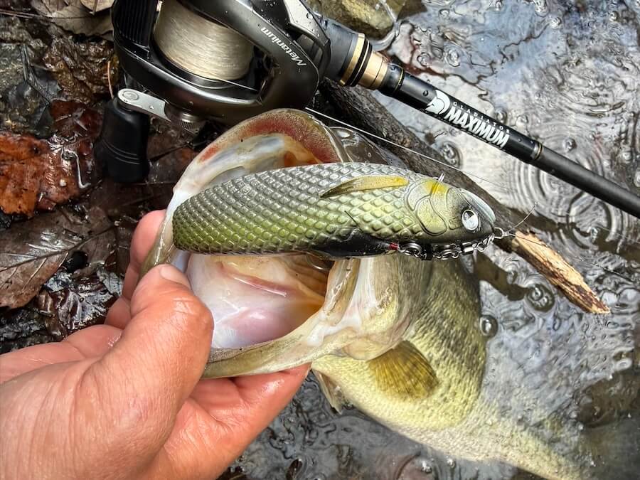｜こんなん釣れてまうやろ！ボトムをタイトに攻められるデッドボーイの背針チューン「純正と使い分ければ釣果倍増！」