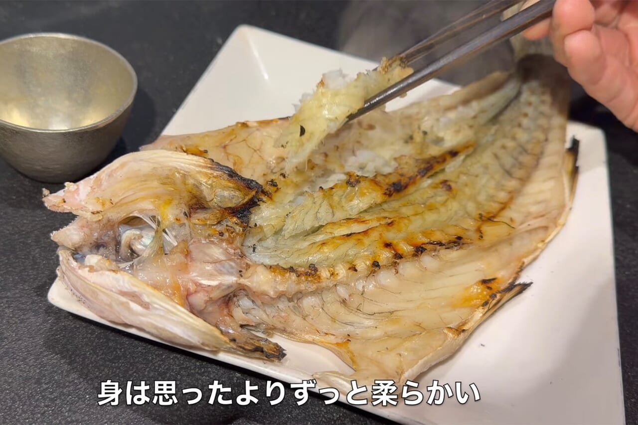 ｜「こんなのアリ？」「やばい、食った」狙いの『巨大魚』が小魚を丸呑み。まさかの釣れ方に、撮影者も唖然。