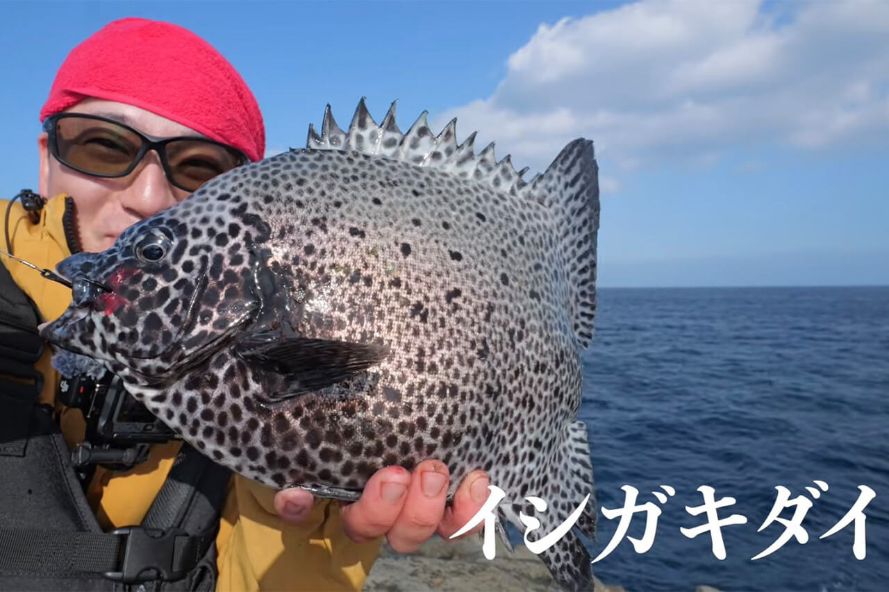 ｜「ヤバい、止まってくれ…」「嘘やろ、デカすぎ」“幻の魚”が潜む『海溝』へ乗り込んだ結果がスゴイ。「ビギナーズラックにも程がある」
