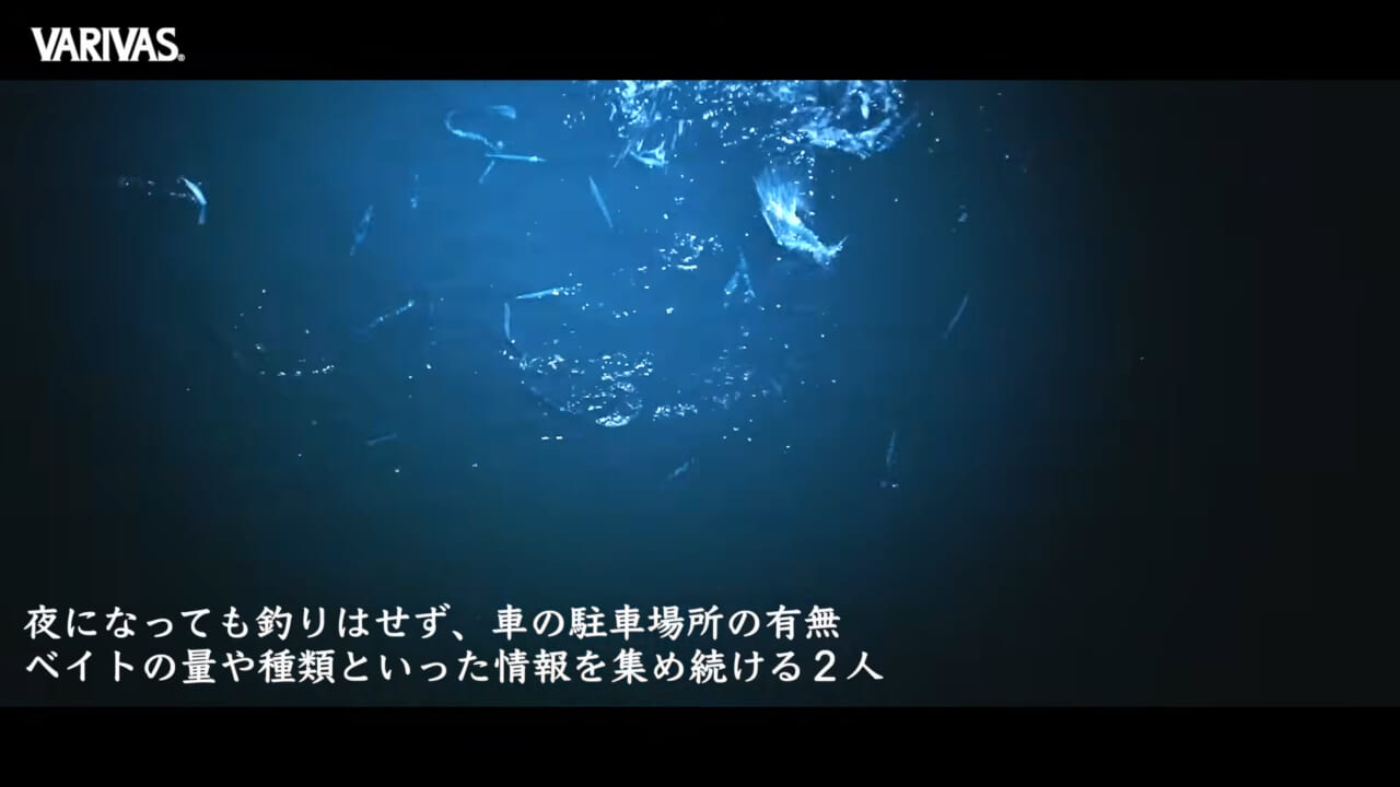 ｜ご当地シーバスをエキスパートはどう攻略するのか⁉シーバスゲームをもっと面白くしてくれる注目の動画がアツい！