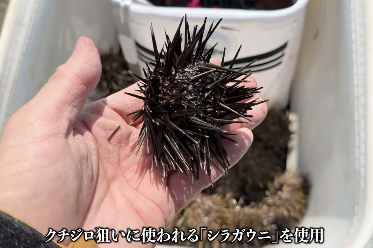 ｜「ヤバい、止まってくれ…」「嘘やろ、デカすぎ」“幻の魚”が潜む『海溝』へ乗り込んだ結果がスゴイ。「ビギナーズラックにも程がある」