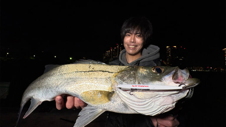 【シーバス】圧倒的な差がつく。風の強い日の港湾・運河バチ攻略法を伝授！