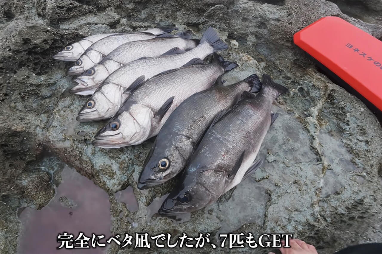 |「海がバグってる…」沈み根だらけの無人岩で“大型魚の巣”に遭遇。再生回数『20万回』超えの釣り動画がスゴイ。