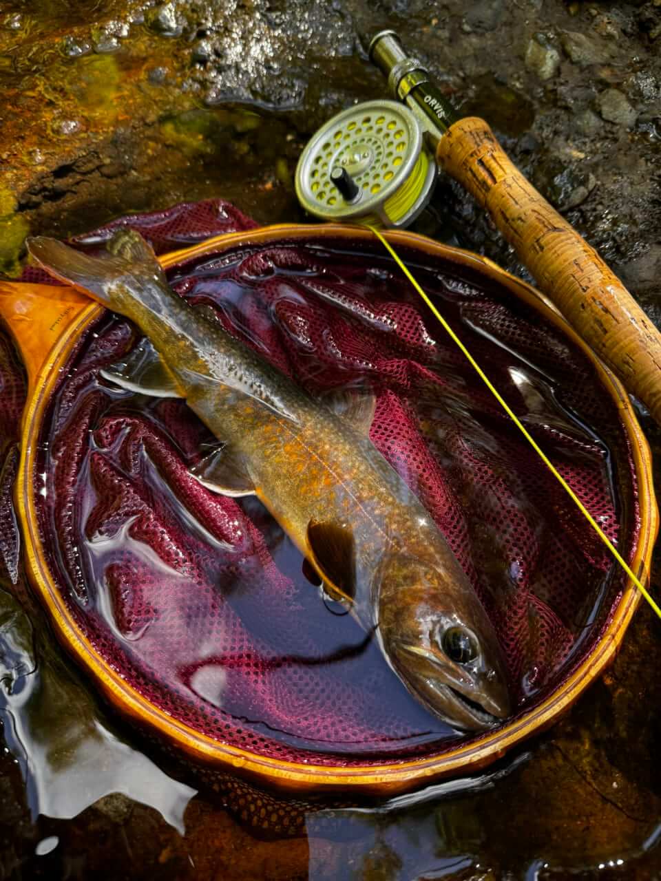 |渓流の釣りを快適に楽しむために必要な小物類【フライフィッシングの教科書10】