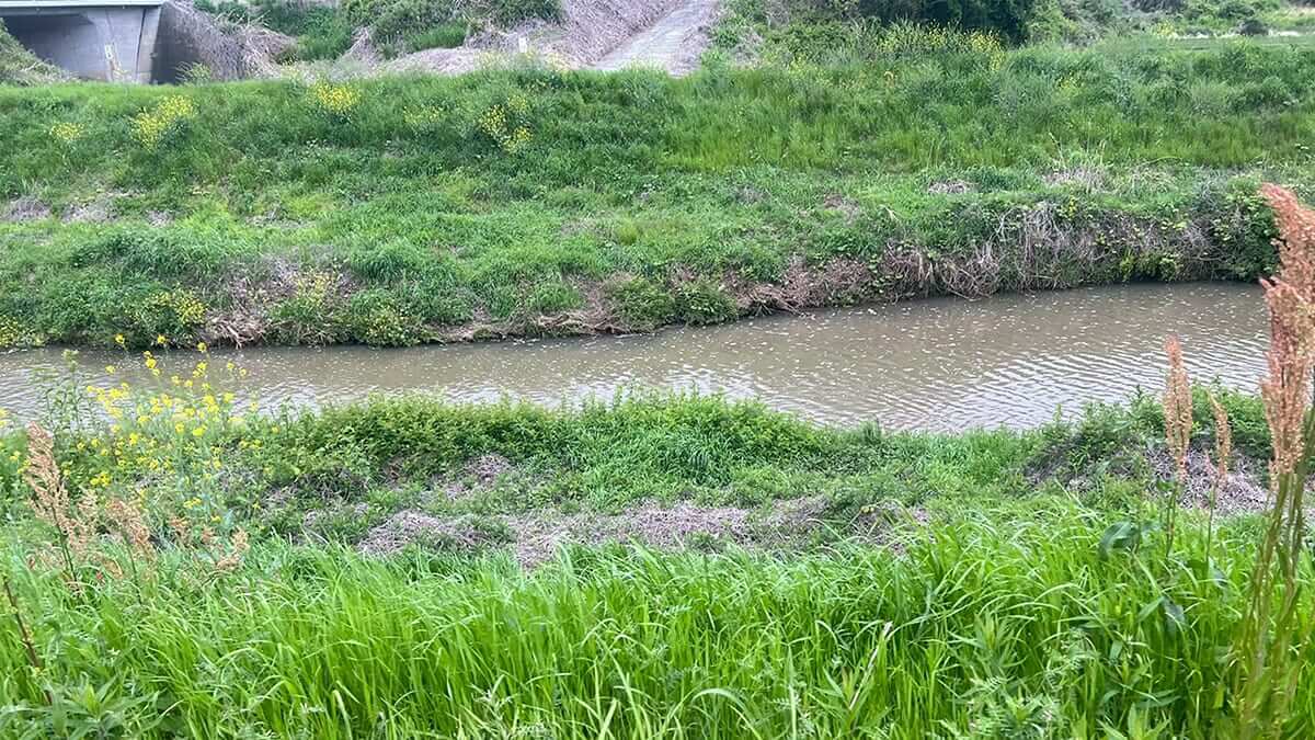 ｜魚が沈黙する田んぼの代掻き「けど、魚がいなくなるわけではない！」どこかにある活きているピンスポットを探しだせ！【鈴木翔のIT’S SHO TIME !!!】