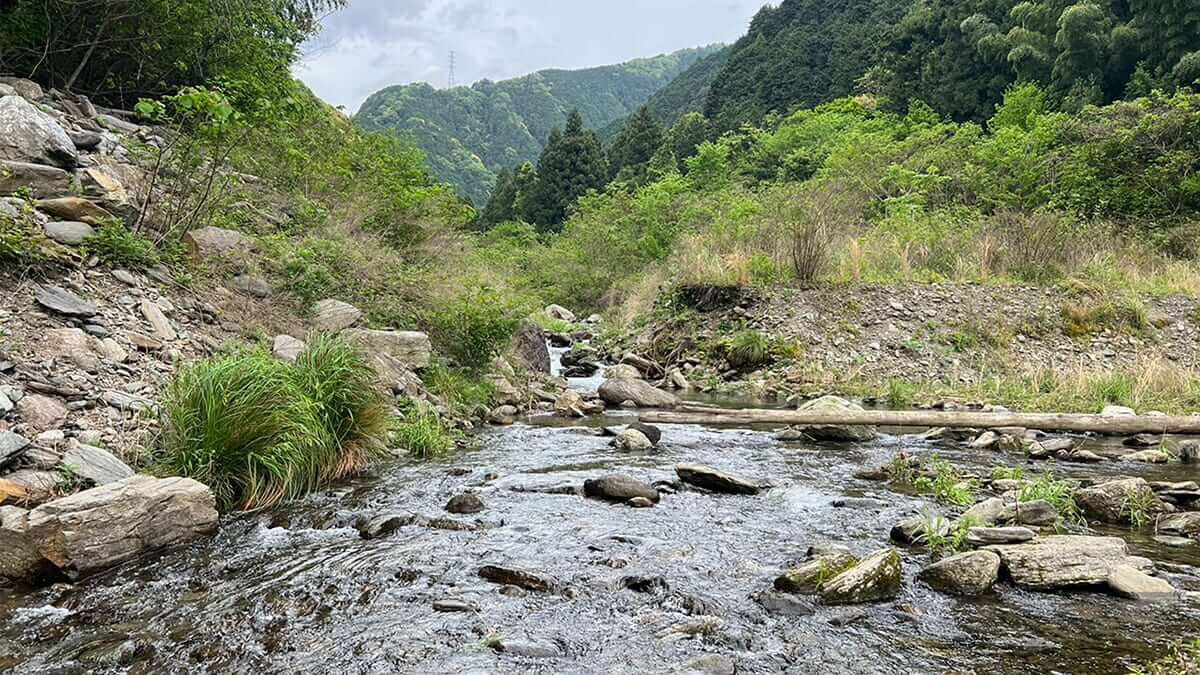 ｜たまには電車遠征もいいよね！「こういう景色での釣りは癒される…」釣りもグルメも楽しんだ四国遠征【鈴木翔のIT’S SHO TIME !!!】