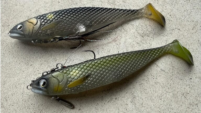 こんなん釣れてまうやろ！ボトムをタイトに攻められるデッドボーイの背針チューン「純正と使い分ければ釣果倍増！」