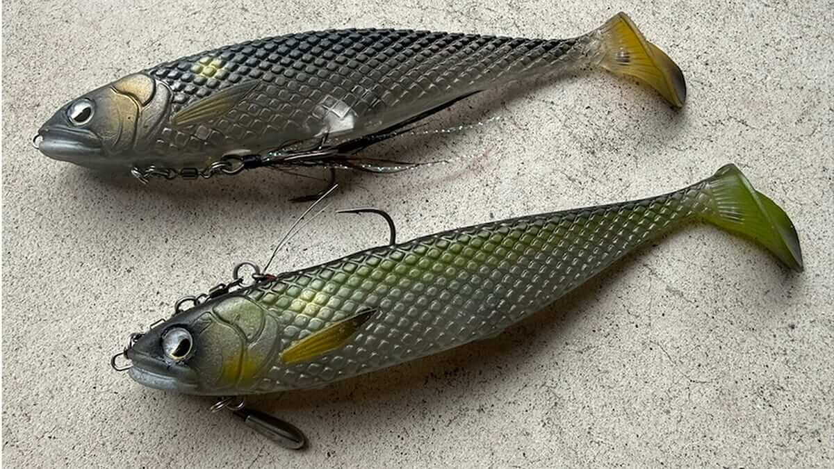 ｜こんなん釣れてまうやろ！ボトムをタイトに攻められるデッドボーイの背針チューン「純正と使い分ければ釣果倍増！」