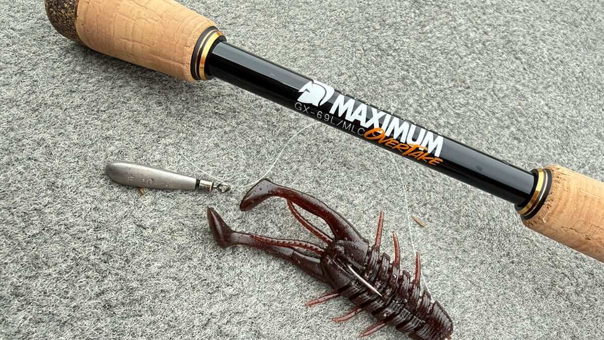 ｜「ミッドスポーンはスローダウンで」大切なのは止めることワームを少し浮かせるだけでバイト数がUP！