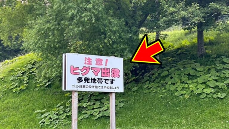 「助かったのは幸運だった」至近距離で『ヒグマ』と遭遇。“してはいけない行動”をとってしまった釣り人が語る恐怖。