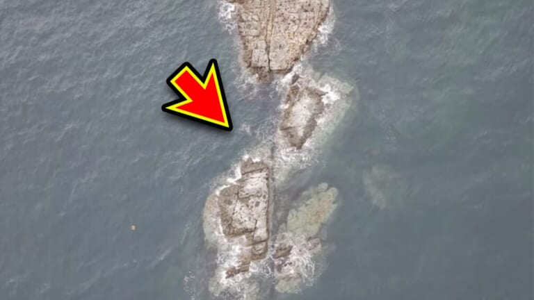 「海がバグってる…」沈み根だらけの無人岩で“大型魚の巣”に遭遇。再生回数『20万回』超えの釣り動画がスゴイ。