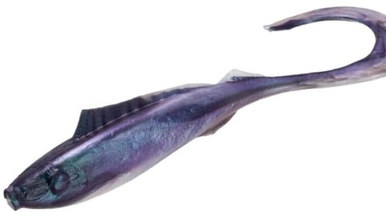 リアル小魚ボディ+ダイナミックアクション！これにガルプ素材が加われば無敵⁉