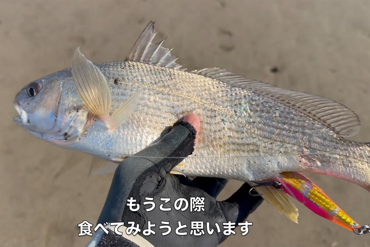 |「こんなのアリ?」「やばい、食った」狙いの『巨大魚』が小魚を丸呑み。まさかの釣れ方に、撮影者も唖然。